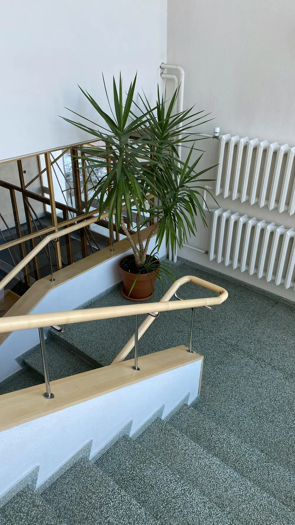 Treppenhausreinigung Bremen, WeserGlanz